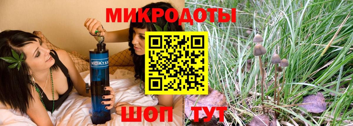 Псилоцибиновые грибы Psilocybine cubensis  Вход с VPN  Псилоцибиновые грибы Psilocybine cubensis  Похвистнево 